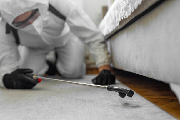 Professional Mosquito Control technician working in Western Springs, IL