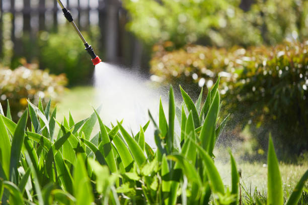 24/7 Emergency Mosquito Control experts in Western Springs, IL