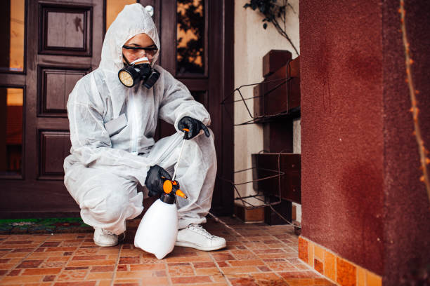 Reliable Mosquito Control contractor in Western Springs, IL by Nex Pest Control
