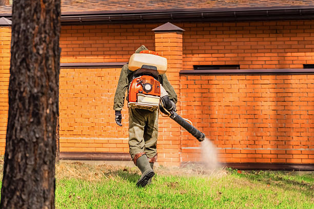 Trusted Cockroach Control service in Western Springs, IL - Nex Pest Control
